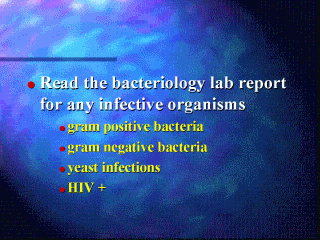 Bacteriology lab report