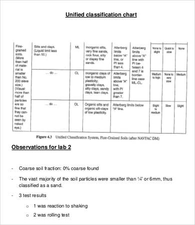 College lab report