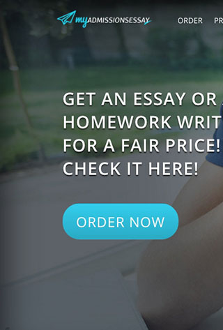 Essay writer program