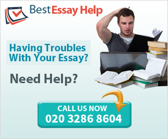 Essays for purchase