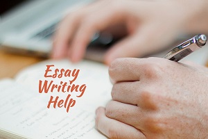 Help writing essay paper