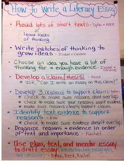 Literary essays